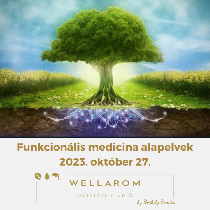 Funkcionális medicina alapelvek 2023. október 27. - online, élő